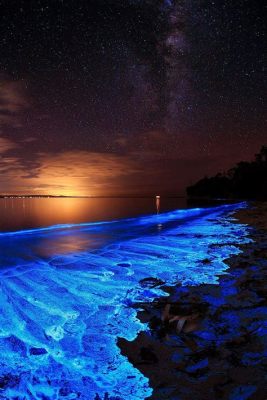  Noctiluca scintillans:  An Unassuming Marine Dinoflagellate Capable of Producing Breathtaking Bioluminescence!